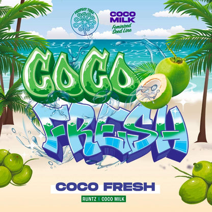 Coco Fresh + Coco Milk S1 (Promo) - 420GEEKS