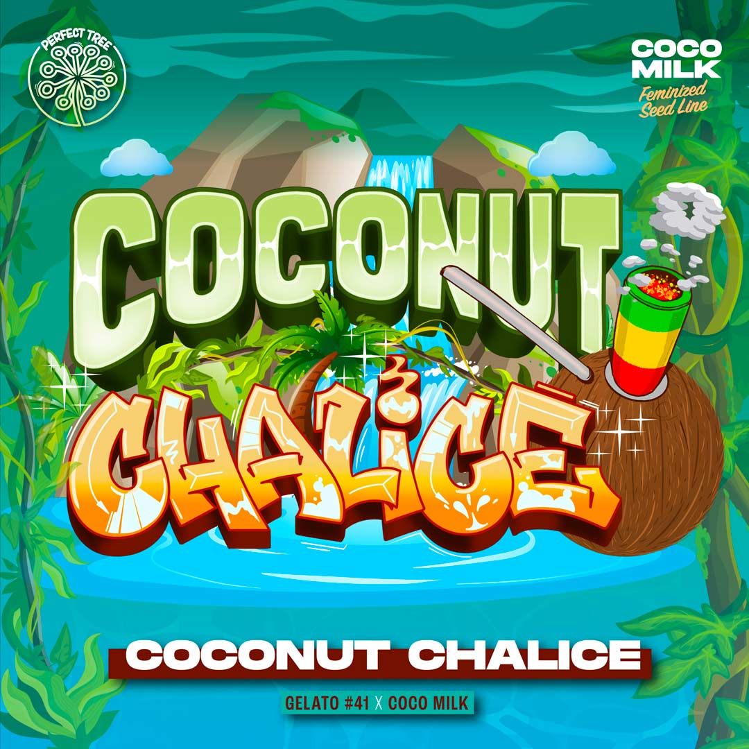 Coconut Chalice + Coco Milk S1 (Promo) - 420GEEKS