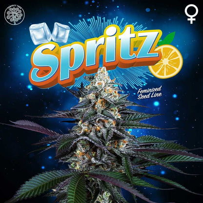 Spritz + LH2P (Promo) - 420GEEKS